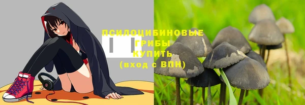 ПСИЛОЦИБИНОВЫЕ ГРИБЫ Беломорск