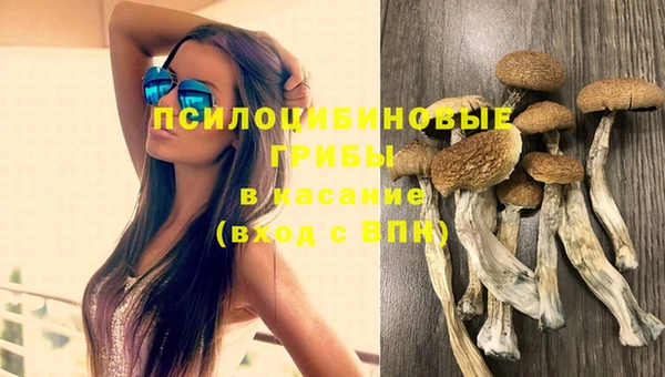 хмурый Белоозёрский