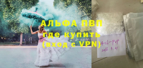 ПСИЛОЦИБИНОВЫЕ ГРИБЫ Беломорск