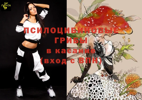 ПСИЛОЦИБИНОВЫЕ ГРИБЫ Беломорск
